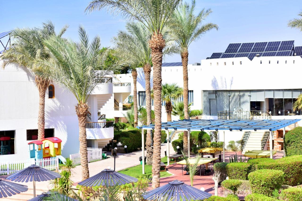 Dive Inn Resort Şarm El-Şeyh Dış mekan fotoğraf
